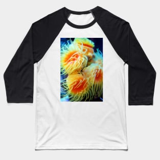 Sea Anemone Baseball T-Shirt